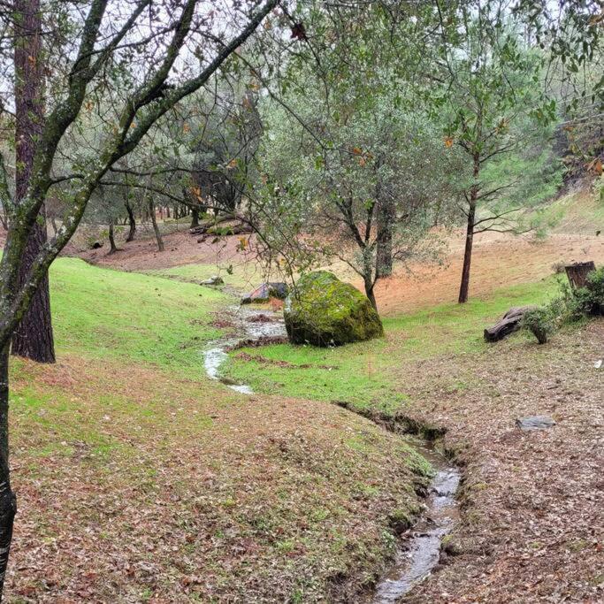 Home In Groveland Near Yosemite Np Екстериор снимка